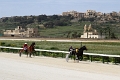 2015_Race 2 - 02